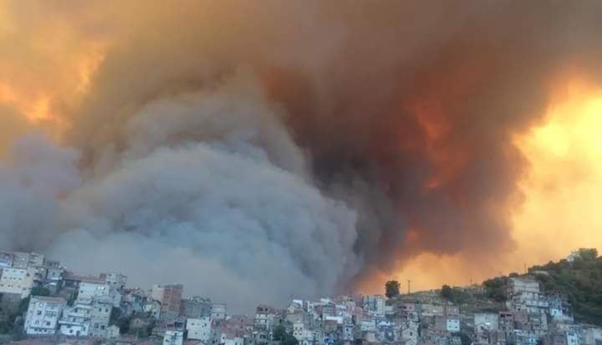 الجزائر : حرائق الغابات متعمدة والوفيات ترتفع إلى 6 أشخاص