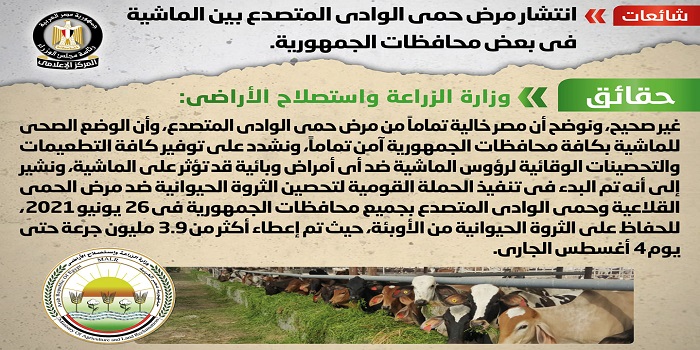 بالإنفوجراف.. “الحكومة” تنفي انتشار مرض حمى الوادي المتصدع بين الماشية في بعض المحافظات