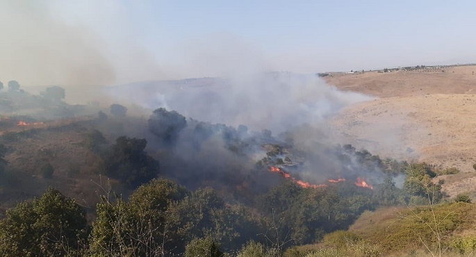 لبنان يواصل الجهود للسيطرة على حرائق الغابات وإخلاء المنازل المحيطة بالنيران