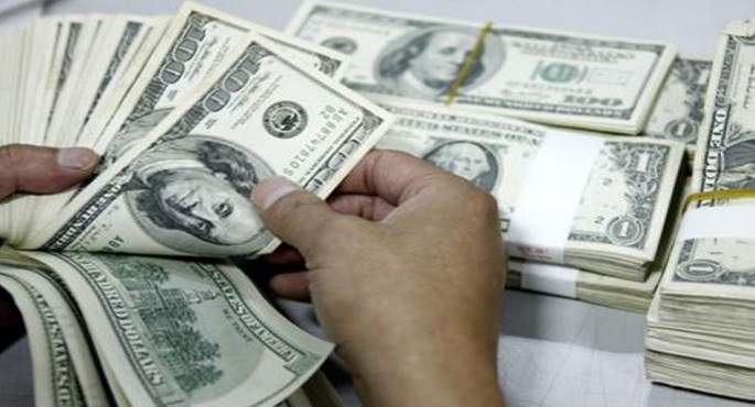 استقرار سعر الدولار مقابل الجنيه