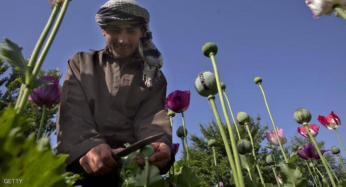 كيف مولت طالبان حربها في أفغانستان خلال 20 عاماً ؟