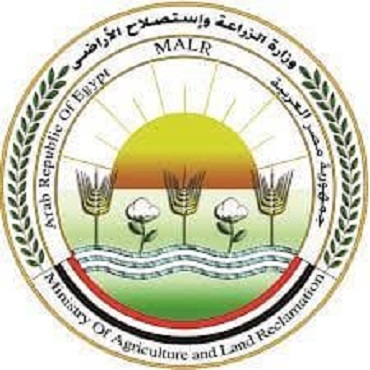 “الزراعة” تستعرض إنجازات مشروع حصر ومكافحة العفن البني في البطاطس