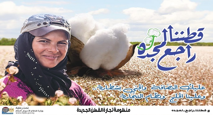 “قطاع الأعمال”: 4630 جنيهًا سعر القنطار في أول مزاد للقطن بالوجه البحري