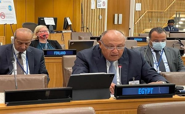كلمة وزير الخارجية أمام الاجتماع رفيع المستوى لإحياء الذكرى العشرين لاعتماد إعلان وبرنامج عمل دربان