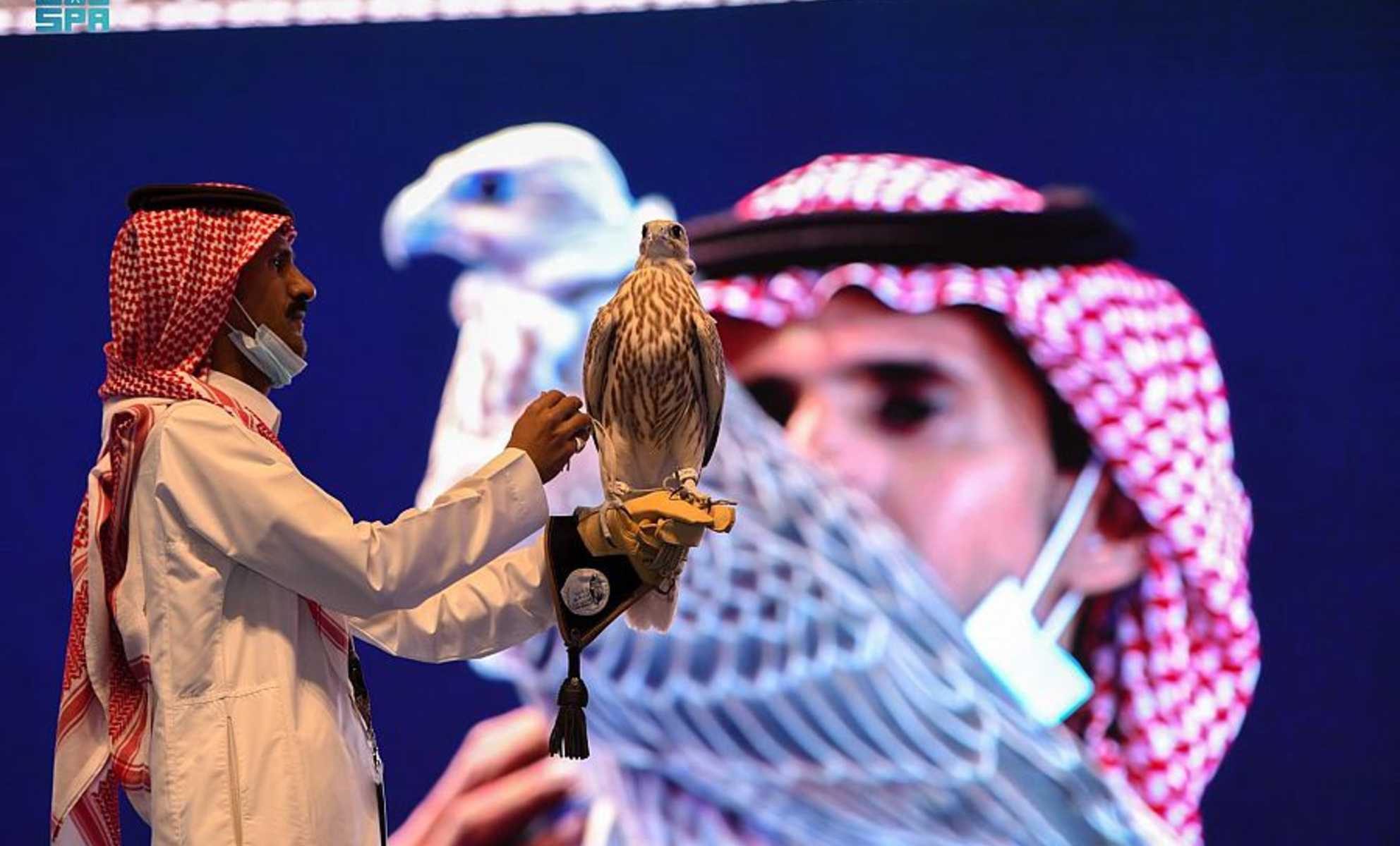 صقر سعودي يباع بأكثر من 54 ألف دولار