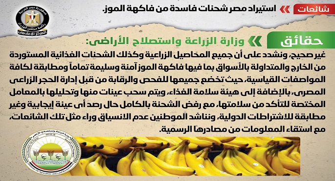 الحكومة تنفي استيراد شحنات فاسدة من فاكهة الموز