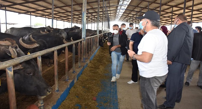 بالصور.. التعاون الدولي والزراعة والصندوق الدولي للتنمية الزراعية يتفقدون عددًا من المشروعات التنموية بـ 3 محافظات