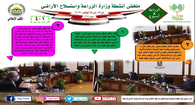 بالإنفوجراف .. الحصاد رقم ٦٦ لأنشطة وزارة الزراعة في الفترة من ١٩ إلى ٢٥ نوفمبر الجاري