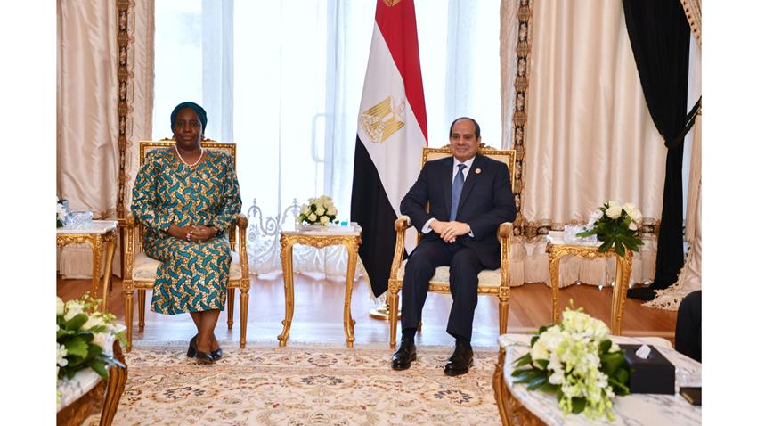 الرئيس السيسي يلتقي سكرتير عام منظمة الكوميسا