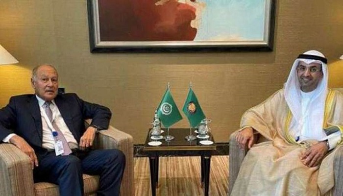 أبو الغيط يبحث مع أمين التعاون الخليجي تعزيز سبل التعاون لتطوير العمل العربي المشترك