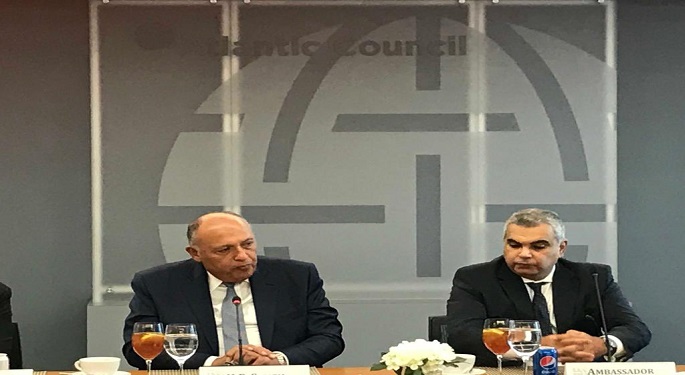 وزير الخارجية يستعرض رؤية مصر تجاه عدد من الموضوعات في حوار مع من الباحثين بالمجلس الأطلنطي