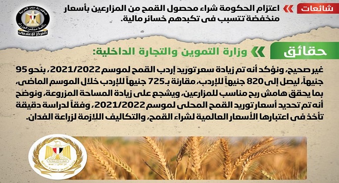 الحكومة : لا صحة لشراء محصول القمح من المزارعين بأسعار منخفضة تتسبب في تكبدهم خسائر مالية