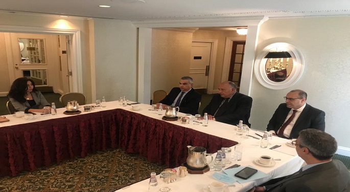 وزير الخارجية يؤكد أهمية مواصلة الجهد للدفع قدماً بالعلاقات المصرية الأمريكية