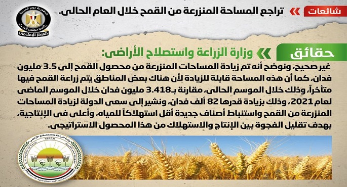 مجلس الوزراء ينفي تراجع المساحة المنزرعة من القمح خلال العام الحالي