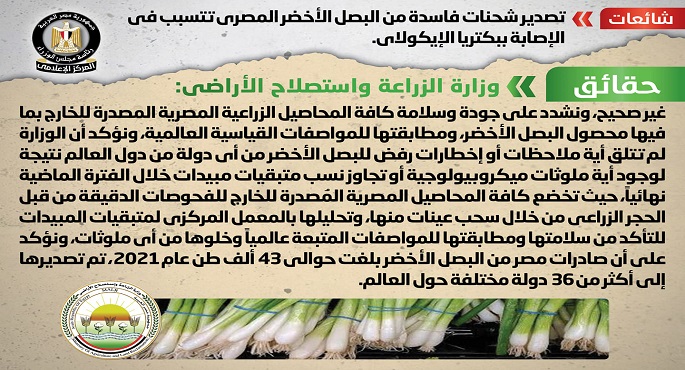 بالصور.. الحكومة تنفي تصدير شحنات فاسدة من البصل الأخضر المصري تتسبب في الإصابة ببكتريا الإيكولاي