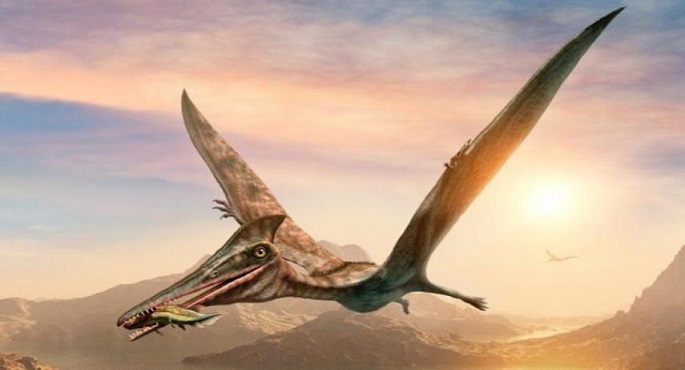 طائر غريب بذقن متحرك جاب الصين منذ 120 مليون سنة