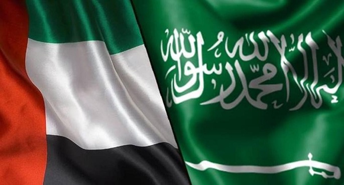 الإمارات والسعودية تبحثان التنسيق والتشاور والعمل المشترك في الشئون الدفاعية