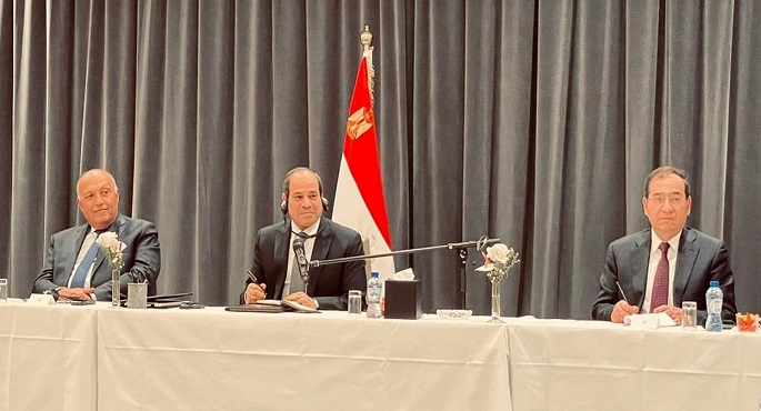 بالصور.. السيسي يعقد لقاء موسعا مع رؤساء كبرى الشركات البلجيكية التي لديها استثمارات في مصر