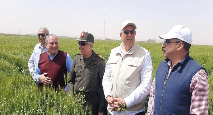 بالصور..القصير يتفقد أحد حقول القمح بأسوان ويؤكد أن المحصول بخير والدولة تدعم الاستثمار الاجنبي