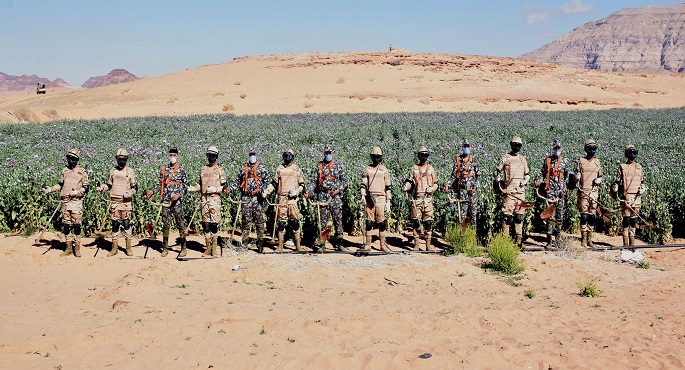 بالفيديو والصور .. قوات حرس الحدود تنفذ حملة للقضاء على الزراعات المخدرة بسيناء