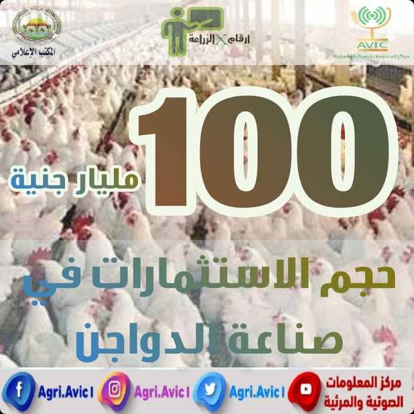 بالصور.. مركز معلومات الزراعة يستعرض أهم الأرقام حول صناعة الدواجن في مصر