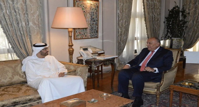 بالصور.. شكري يعقد مباحثات مع وزير الصناعة المبعوث الإماراتي الخاص لتغير المناخ