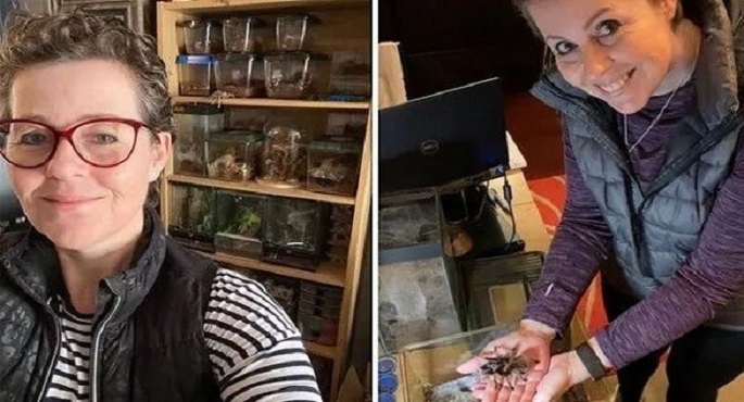 امرأة بريطانية تربي 32 عنكبوتاً ضخماً لمواجهة خوفها من العناكب