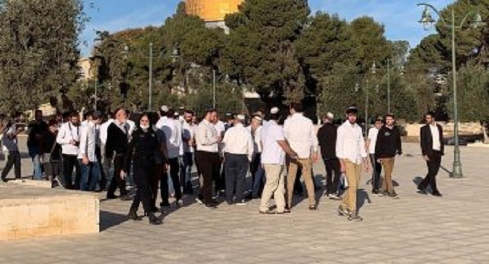 عشرات المستوطنين يقتحمون باحات الأقصى تحت حماية شرطة الاحتلال الإسرائيلي