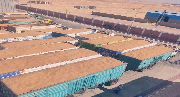 بالصور .. وزير الزراعة يتابع على مدار الساعة حصاد وتوريد القمح في جميع محافظات الجمهورية