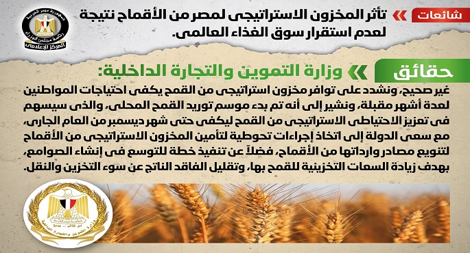 الحكومة: لا صحة لتأثر المخزون الاستراتيجي لمصر من الأقماح نتيجة لعدم استقرار سوق الغذاء العالمي