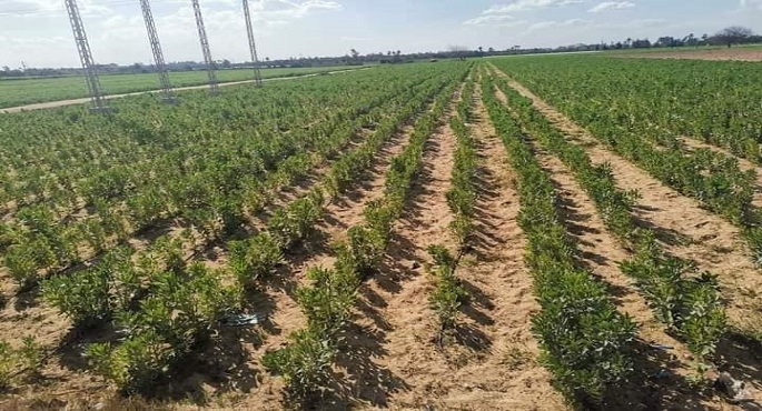 بالصور.. وزير الرى يتابع موقف مشروعات تأهيل الترع والمساقي والتحول للري الحديث بمحافظة القليوبية
