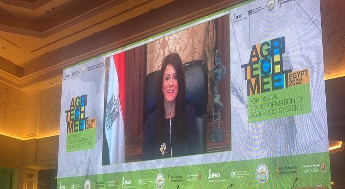 المشاط: التحول الرقمي بقطاع الزراعة ضروري لتعزيز الأمن الغذائي وتحقيق التنمية المستدامة