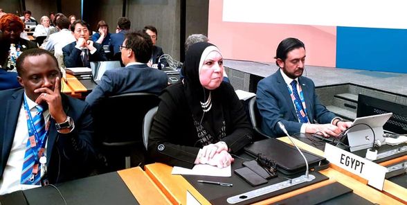 نيفين جامع: دور محوري للتجارة في الحد من التغيرات البيئية وتعزيز قدرات الدول على التحول الأخضر