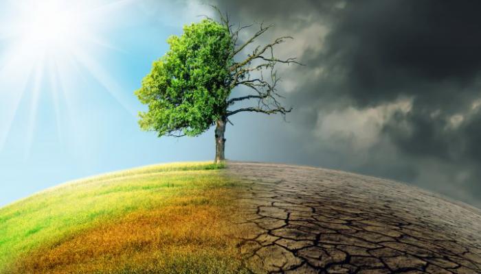 دراسة: التغير المناخي زاد من احتمالية جفاف 2022 نحو 20 مرة