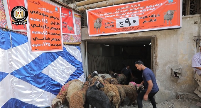 بالفيديو.. مجلس الوزراء: الدولة تضاعف جهودها لإتاحة وتوفير كافة السلع واللحوم استعدادا لعيد الأضحى المبارك