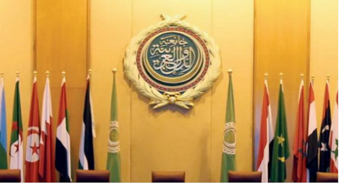 الجامعة العربية تشارك في مراقبة الاستفتاء حول الدستور الجديد لتونس