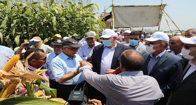 بالصور .. وزير الزراعة ومحافظ كفر الشيخ يطلقان فعاليات يوم الحقل السنوي لمحصولي الذرة الشامية والأرز بمحطة بحوث سخا