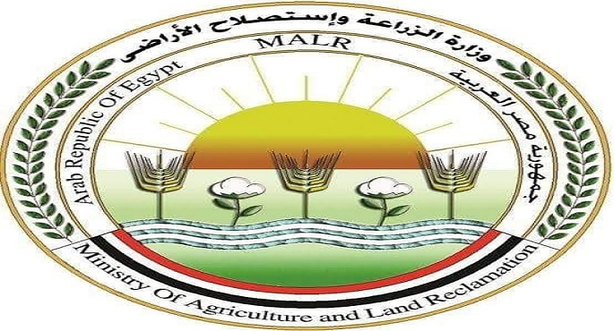 “الزراعة”: طرح كميات من اللحوم بسعر 225 جنيهًا للكيلو جرام