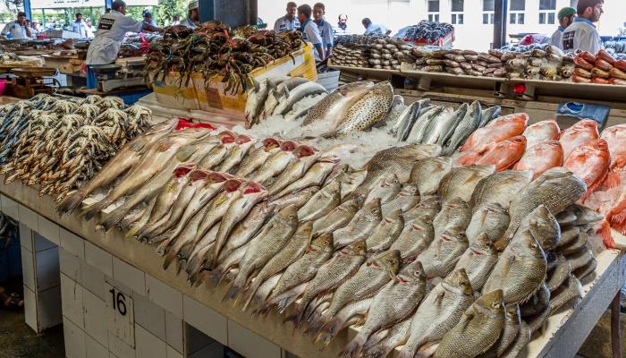 شعراوي : توفير 100 منفذ بيع للأسماك ب 14 محافظة بأسعار تتناسب مع محدودي الدخل