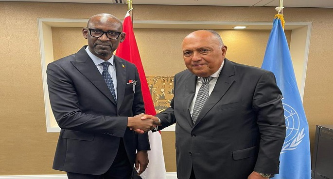 بالصور.. وزير الخارجية يؤكد دعم مصر لجهود إحلال السلام في مالي