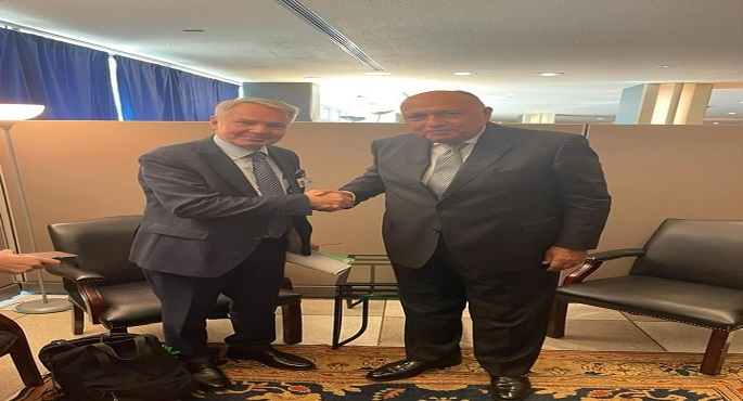 شكري يبحث مع نظيره الفنلندي سبل تعزيز التعاون الثنائي وملفات إقليمية ودولية هامة