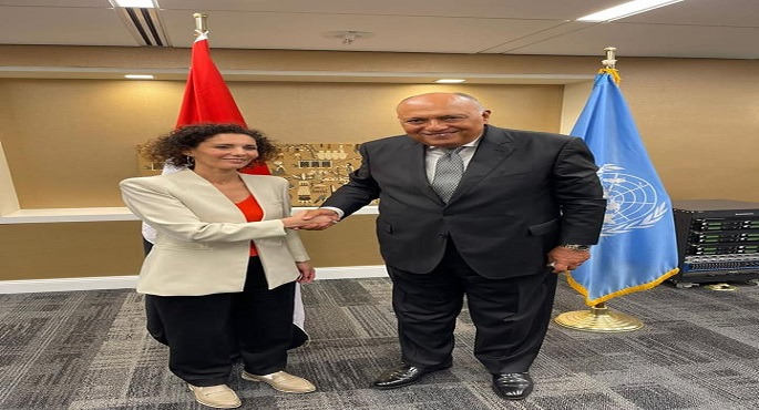 بالصور.. شكري يلتقي نظيرته البلجيكية خلال زيارته إلى نيويورك