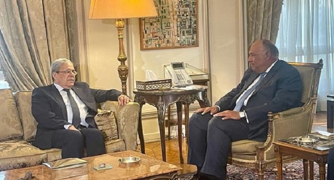 مصر تؤكد دعمها لتونس في الخطوات التي تتخذها نحو الاستقرار والتنمية