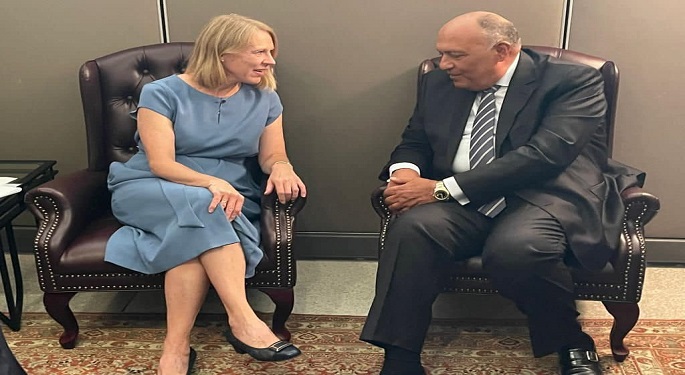 شكري يبحث مع نظيريه النرويجي والمالطي التعاون المشترك
