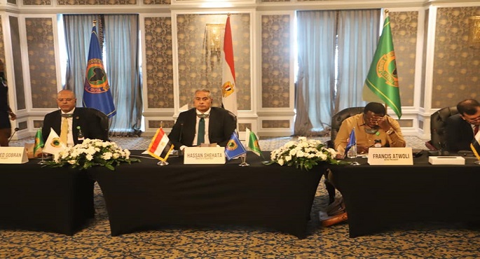 وزير القوى العاملة: التحديات الراهنة تتطلب التعاون بين أبناء قارة أفريقيا لتحقيق التكامل الاقتصادي
