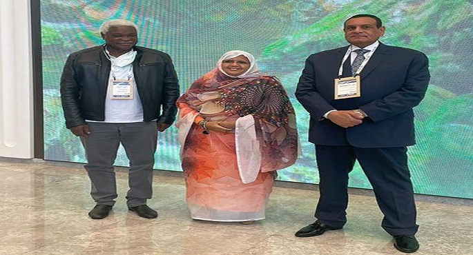 وزير التنمية المحلية يلتقي رئيسة منظمة المدن والحكومات المحلية الأفريقية على هامش زيارته لكوريا الجنوبية