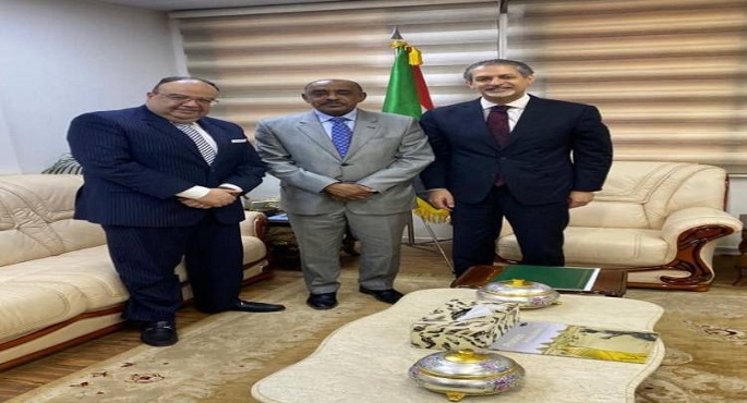 وزير خارجية السودان يتسلم رسالة سامح شكرى
