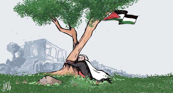 فلسطين تواصل المقاومة