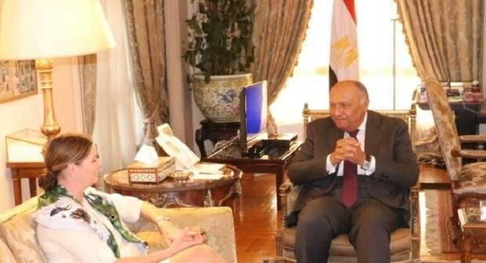 شكري: الحكومة المصرية مهتمة بتيسير تدفقات الاستثمارات البريطانية في القطاعات الاقتصادية