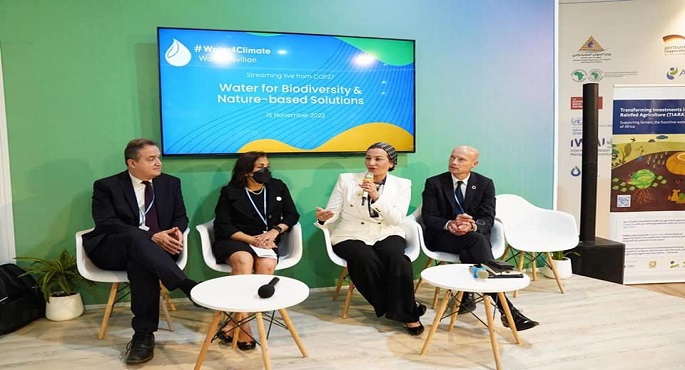 ضمن فعاليات (cop27).. وزيرة البيئة تشارك بجلسة الحلول القائمة على الطبيعة لحماية دلتا الأنهار من ارتفاع مستوى سطح البحر